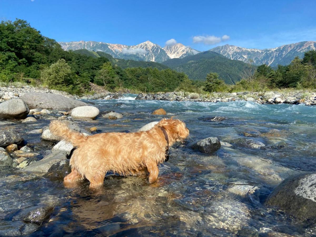 Готель 白馬パウダーマウンテン Хакуба Екстер'єр фото